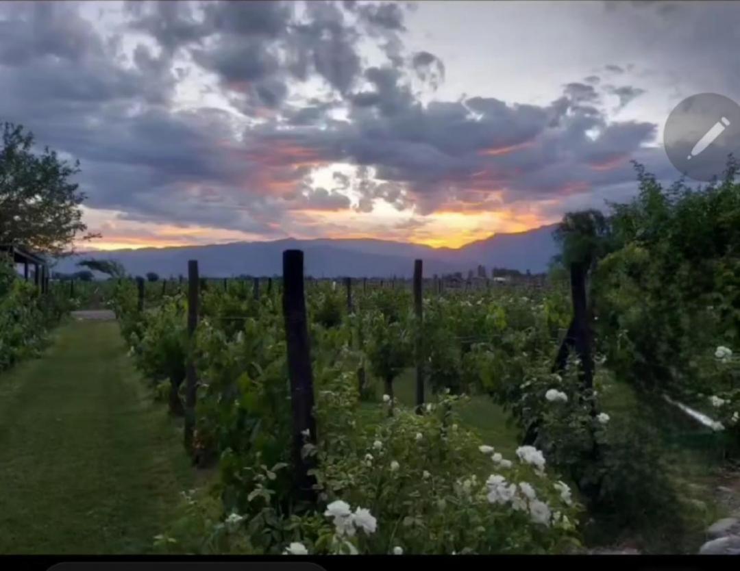 Отель Finca La Puebla Ла-Консульта Экстерьер фото