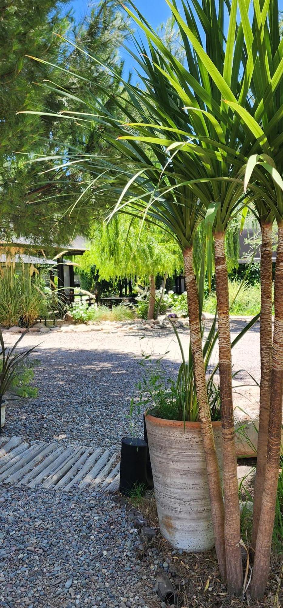 Отель Finca La Puebla Ла-Консульта Экстерьер фото